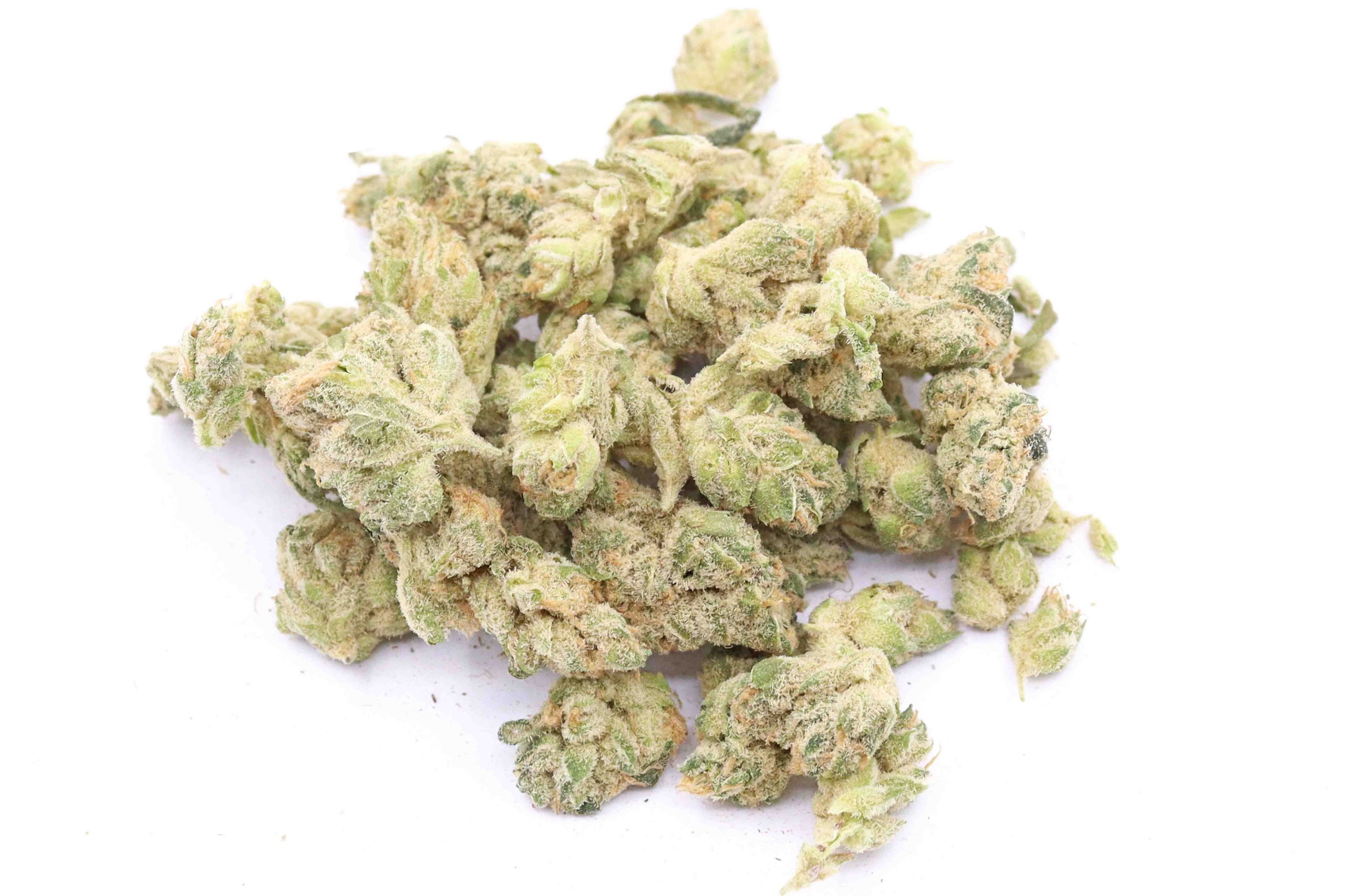 White Widow Strain Small Buds - Sativa Dominant Hybrid