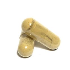 100mg Psilocybin/25mg Pure CBD Isolate/100mg Cordyceps Capsules