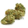 Hindu Kush Strain Flower - Indica Hindu Kush Strain Flower - Indica