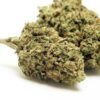 Ingrid Strain Flower - Indica Dominant Hybrid Ingrid Strain Flower - Indica Dominant Hybrid