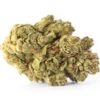 Durban Poison Strain Flower - Sativa Durban Poison Strain Flower - Sativa