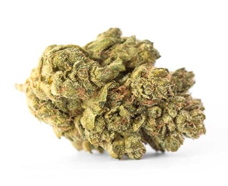 Durban Poison Strain Flower - Sativa