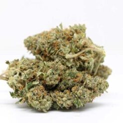 Ewok Strain AAA Small Buds - Hybrid