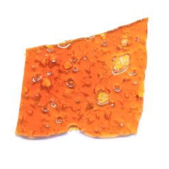Island Sweet Skunk Strain Shatter - Sativa Dominant Hybrid Island Sweet Skunk Strain Shatter - Sativa Dominant Hybrid