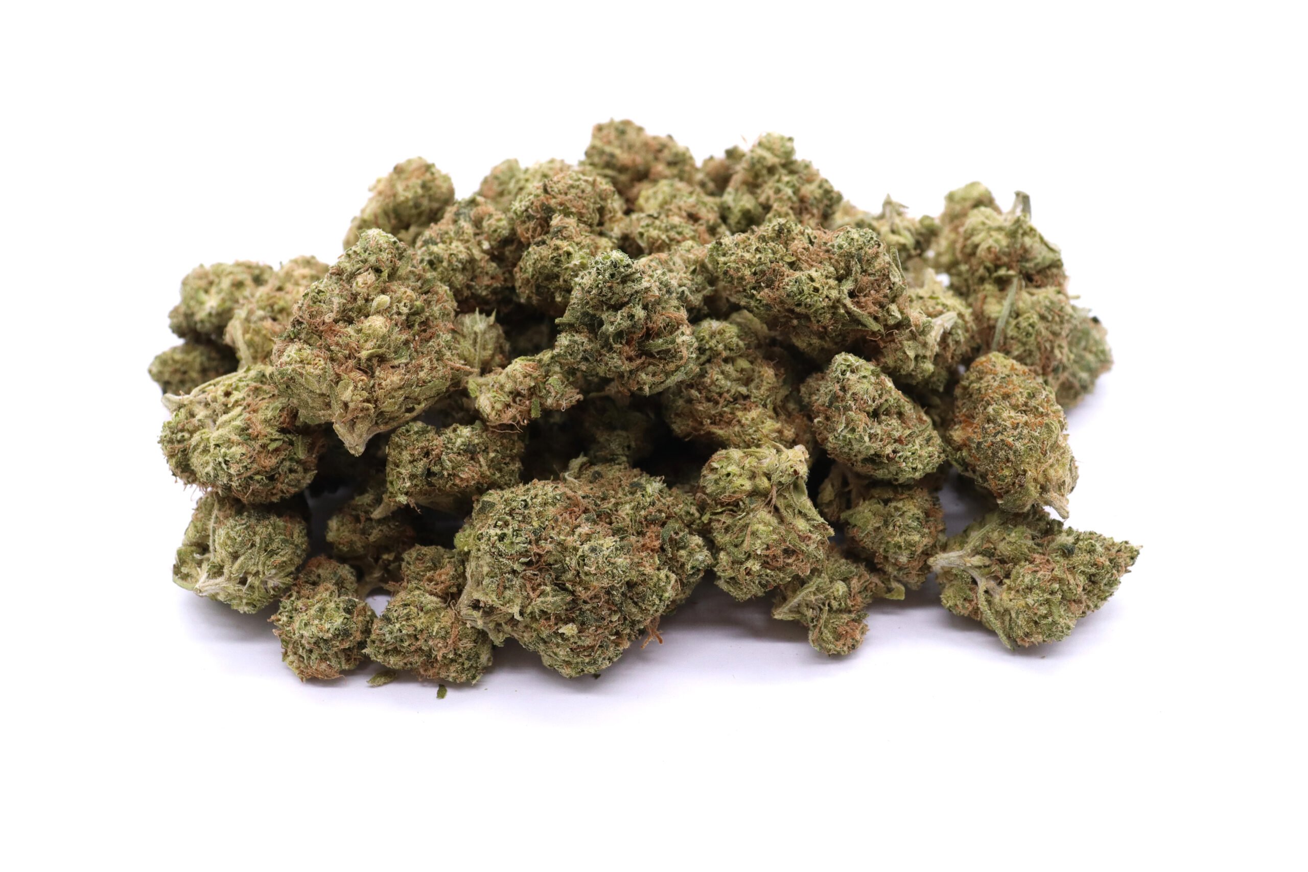 Cinderella 99 Strain Small Buds - Sativa Dominant Hybrid