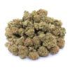 Cinderella 99 Strain Small Buds - Sativa Dominant Hybrid