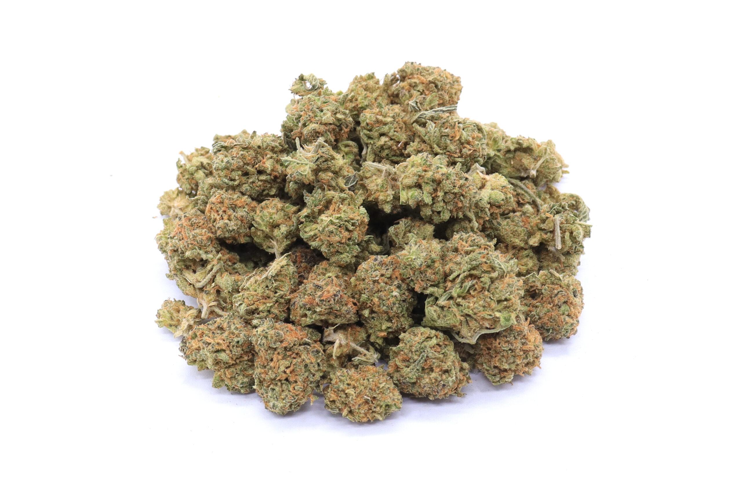 Cinderella 99 Strain Small Buds - Sativa Dominant Hybrid