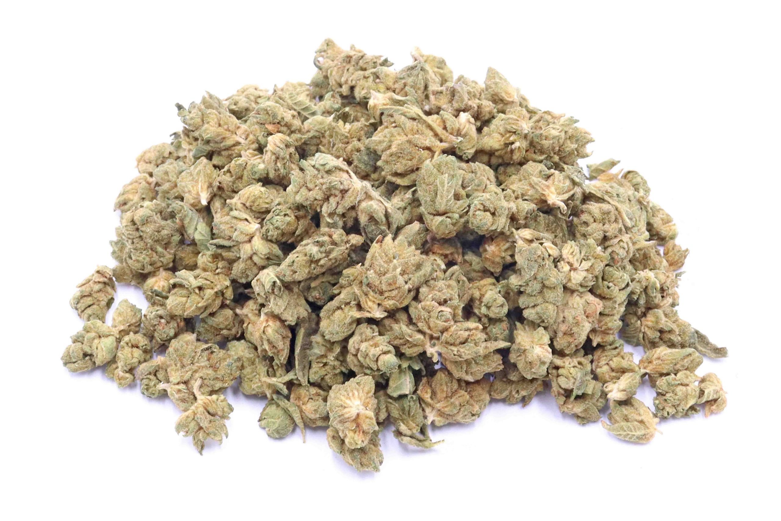 Dirty Girl Strain Small Buds - Sativa Dominant Hybrid