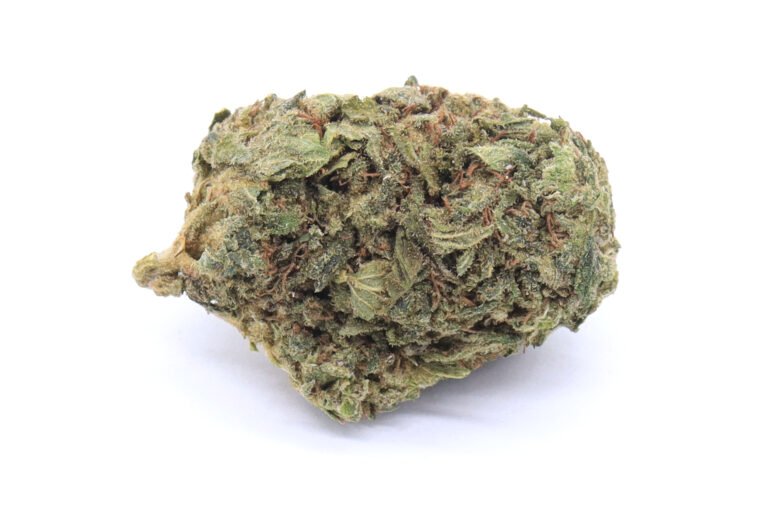 Dirty Girl Strain Small Buds - Sativa Dominant Hybrid Dirty Girl Strain Small Buds - Sativa Dominant Hybrid