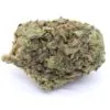 Dirty Girl Strain Small Buds - Sativa Dominant Hybrid