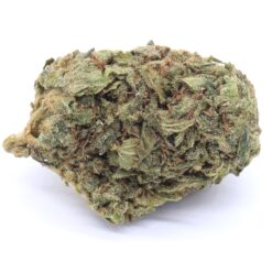 Dirty Girl Strain Small Buds - Sativa Dominant Hybrid