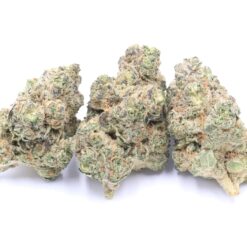 Durban Poison Strain Flower - Sativa Durban Poison Strain Flower - Sativa