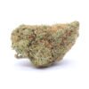 Ewok Strain Small Buds - Hybrid
