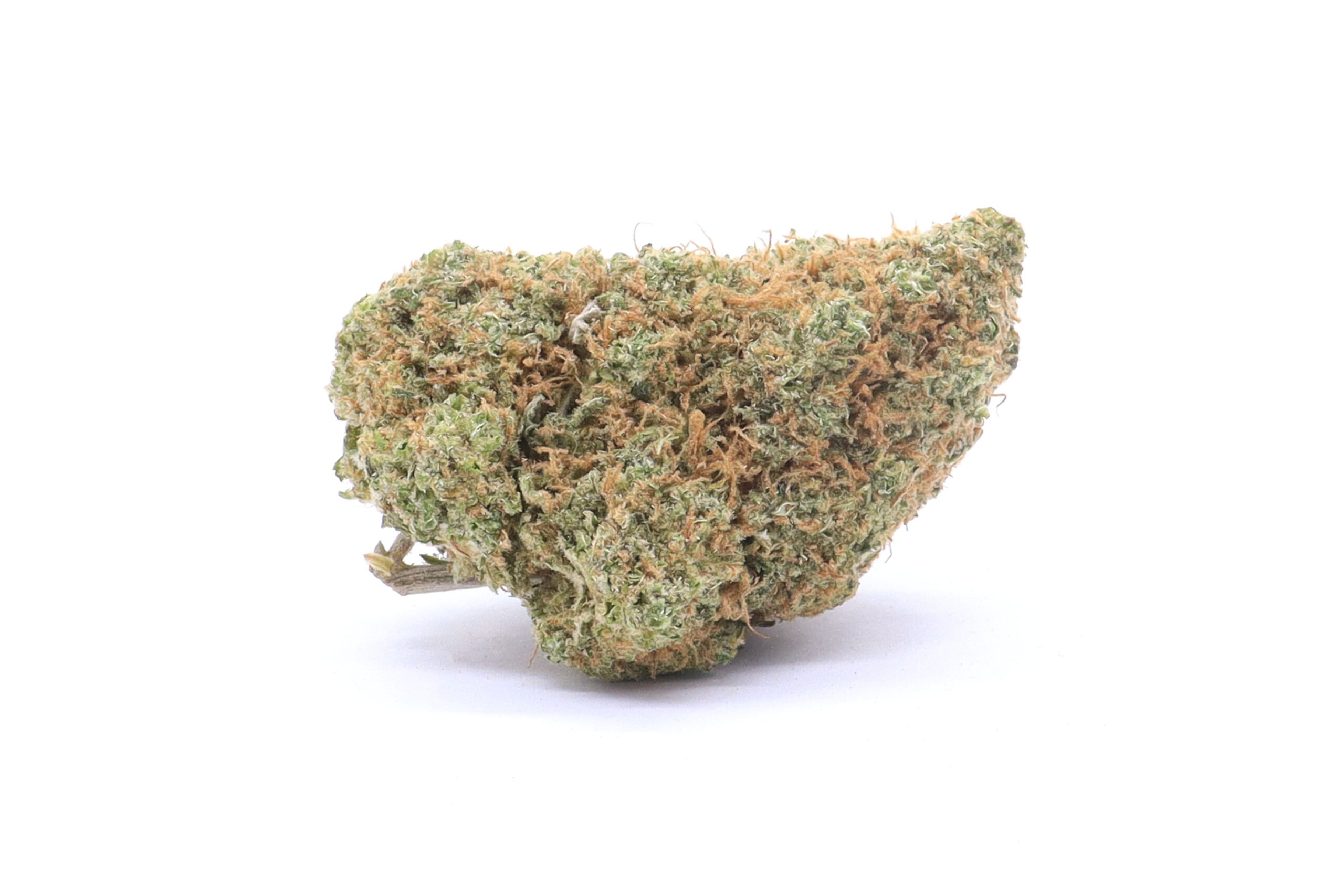 Ewok Strain Small Buds - Hybrid