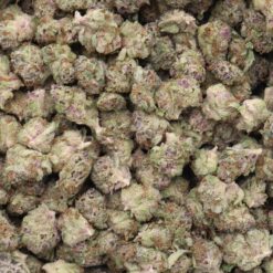 Ewok Strain Small Buds - Hybrid Ewok Strain Small Buds - Hybrid