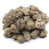 Green Crack Strain Small Buds - Sativa Dominant Hybrid