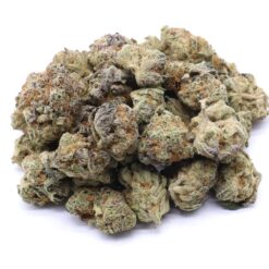 Green Crack Strain Small Buds - Sativa Dominant Hybrid Green Crack Strain Small Buds - Sativa Dominant Hybrid