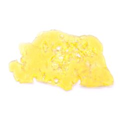 Harlequin Strain Shatter - Sativa Dominant Hybrid Harlequin Strain Shatter - Sativa Dominant Hybrid