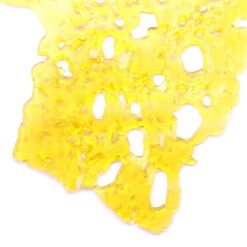Harlequin Strain Shatter - Sativa Dominant Hybrid Harlequin Strain Shatter - Sativa Dominant Hybrid