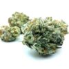 Green Crack Strain Small Buds - Sativa Dominant Hybrid Green Crack Strain Small Buds - Sativa Dominant Hybrid