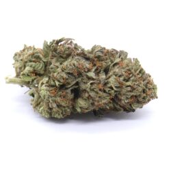 Headband Strain Flower - Indica Dominant Hybrid Headband Strain Flower - Indica Dominant Hybrid