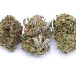Headband Strain Flower - Indica Dominant Hybrid Headband Strain Flower - Indica Dominant Hybrid