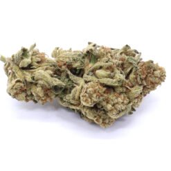 Ingrid Strain Flower - Indica Dominant Hybrid
