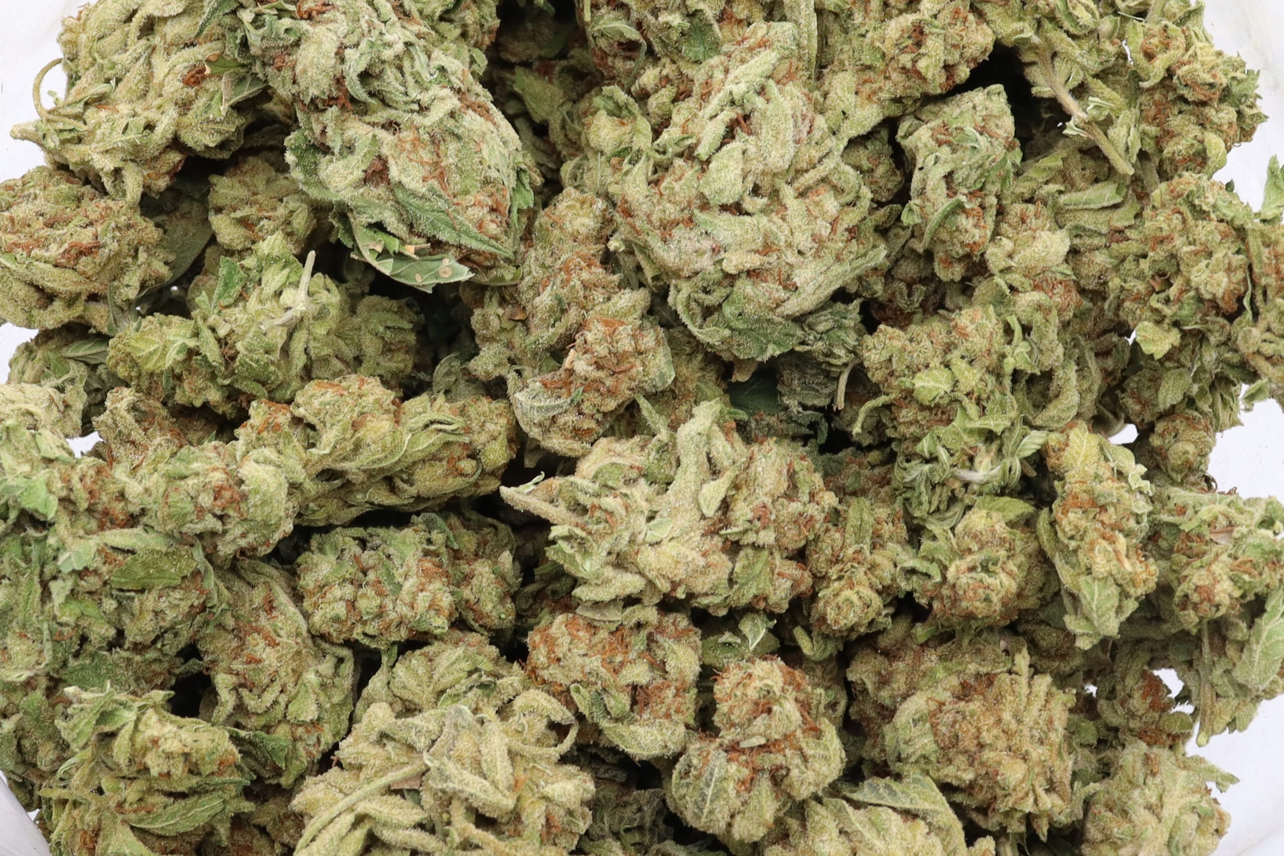 Ingrid Strain Flower - Indica Dominant Hybrid Ingrid Strain Flower - Indica Dominant Hybrid