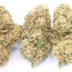 Ingrid Strain Flower - Indica Dominant Hybrid Ingrid Strain Flower - Indica Dominant Hybrid
