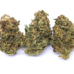 Kali Mist Strain Flower - Sativa Dominant Hybrid Kali Mist Strain Flower - Sativa Dominant Hybrid
