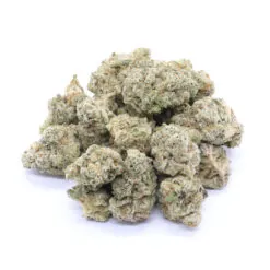 Lemon Sorbet Strain Flower - Hybrid