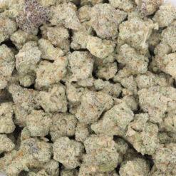 Lemon Sorbet Strain Flower - Hybrid