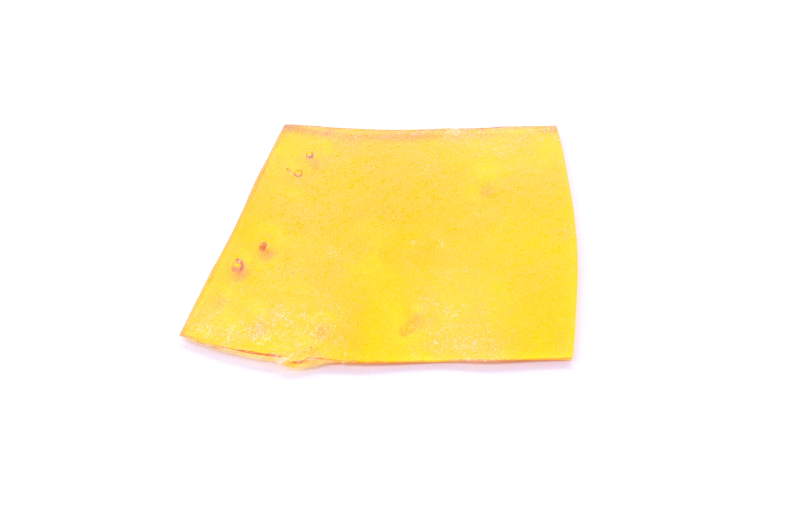 Obama Kush Strain Shatter - Indica Dominant Hybrid Obama Kush Strain Shatter - Indica Dominant Hybrid