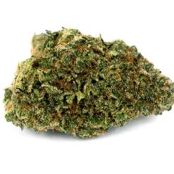 Lodi Dodi Strain Flower - Sativa Dominant Hybrid