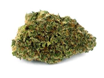 Haute Health Lodi Dodi Strain Sativa Dominant Hybrid 10 Dollar Grams