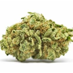 Lemonder Strain Flower - Sativa Dominant Hybrid