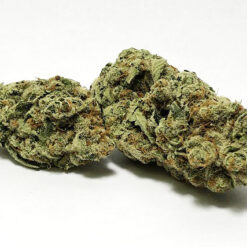 Nepali Temples Strain Flower (5 Star) - Hybrid