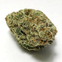 Raspberry Hashplant Strain Flower (5 Star) - Indica Dominant Hybrid Raspberry Hashplant Strain Flower (5 Star) - Indica Dominant Hybrid