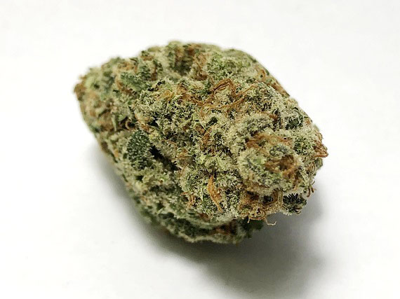 Raspberry Hashplant Strain Flower (5 Star) - Indica Dominant Hybrid