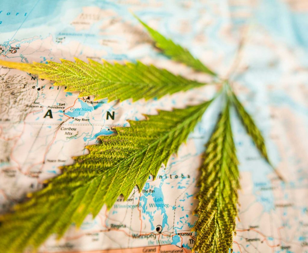 Haute Health Countries Where Weed Is Legal