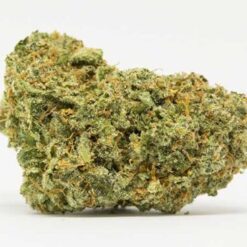 Lamb's Bread Strain Flower - Sativa Dominant Hybrid Lamb's Bread Strain Flower - Sativa Dominant Hybrid