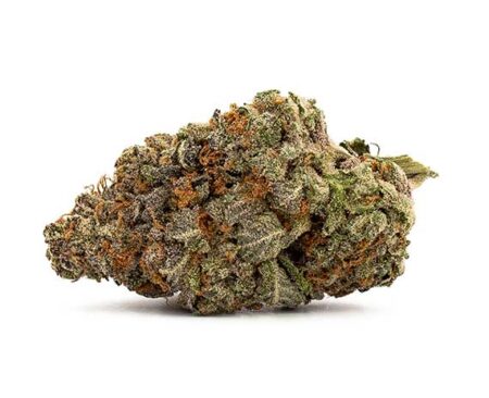 Haute Health Mango Kush Indica Dominant Hybrid 11 Dollar Grams