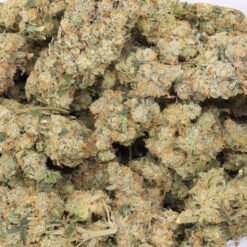 Lamb's Bread Strain Flower - Sativa Dominant Hybrid