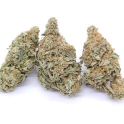 Lemonder Strain Flower - Sativa Dominant Hybrid Lemonder Strain Flower - Sativa Dominant Hybrid