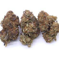 Lodi Dodi Strain Flower - Sativa Dominant Hybrid Lodi Dodi Strain Flower - Sativa Dominant Hybrid