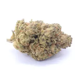 Lodi Dodi Strain Flower - Sativa Dominant Hybrid Lodi Dodi Strain Flower - Sativa Dominant Hybrid