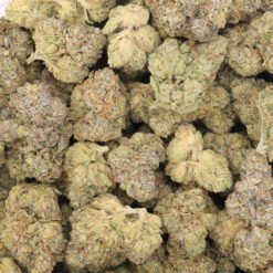 Lodi Dodi Strain Flower - Sativa Dominant Hybrid Lodi Dodi Strain Flower - Sativa Dominant Hybrid