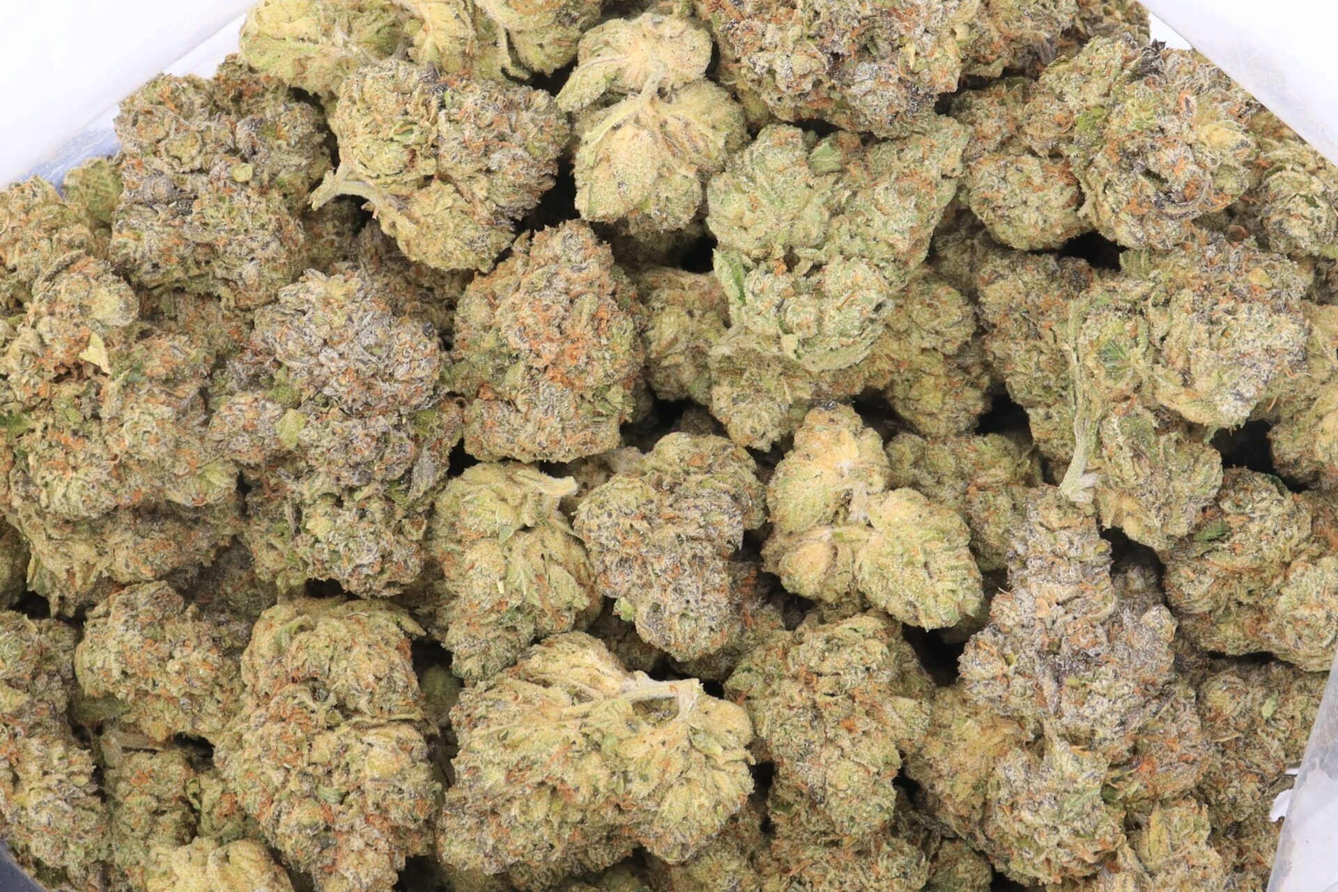 Lodi Dodi Strain Flower - Sativa Dominant Hybrid Lodi Dodi Strain Flower - Sativa Dominant Hybrid