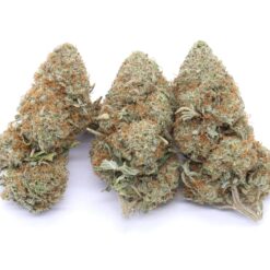 Mango Kush Strain Flower - Indica Dominant Hybrid Mango Kush Strain Flower - Indica Dominant Hybrid
