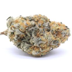 Mango Kush Strain Flower - Indica Dominant Hybrid Mango Kush Strain Flower - Indica Dominant Hybrid